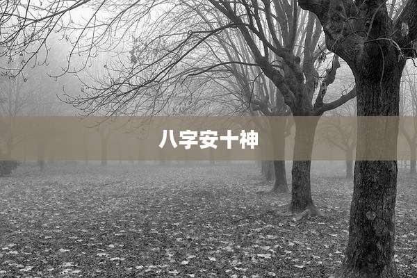 八字安十神
