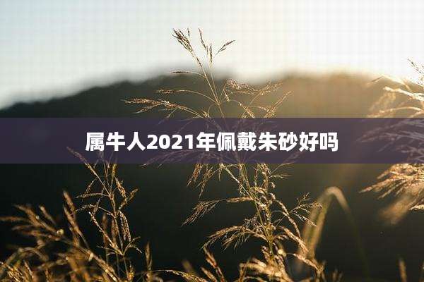 属牛人2021年佩戴朱砂好吗