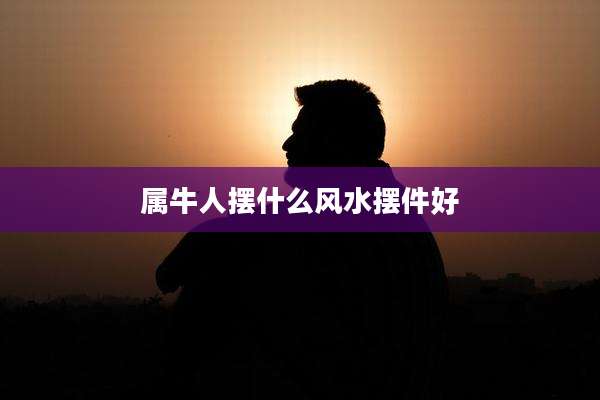 属牛人摆什么风水摆件好