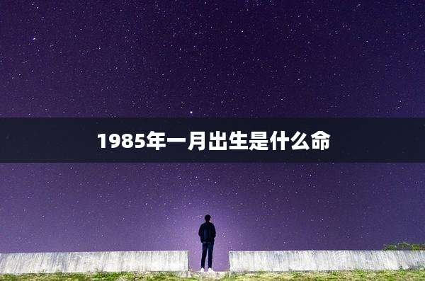 1985年一月出生是什么命