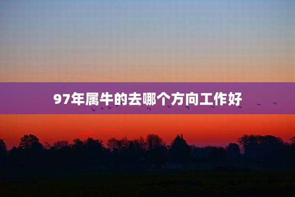 97年属牛的去哪个方向工作好