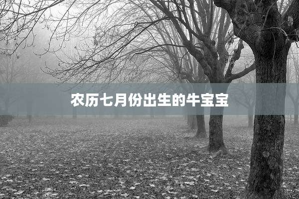 农历七月份出生的牛宝宝