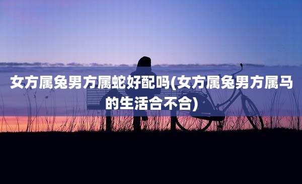 女方属兔男方属蛇好配吗(女方属兔男方属马的生活合不合)