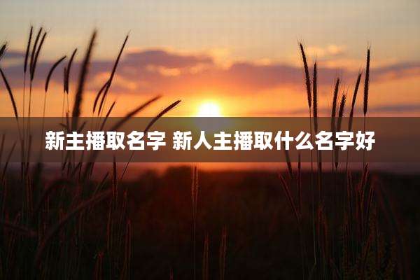 新主播取名字 新人主播取什么名字好