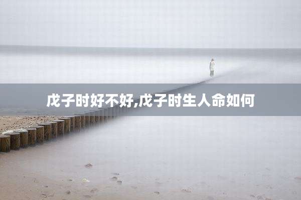戊子时好不好,戊子时生人命如何
