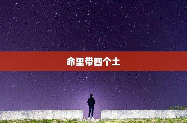 命里带四个土