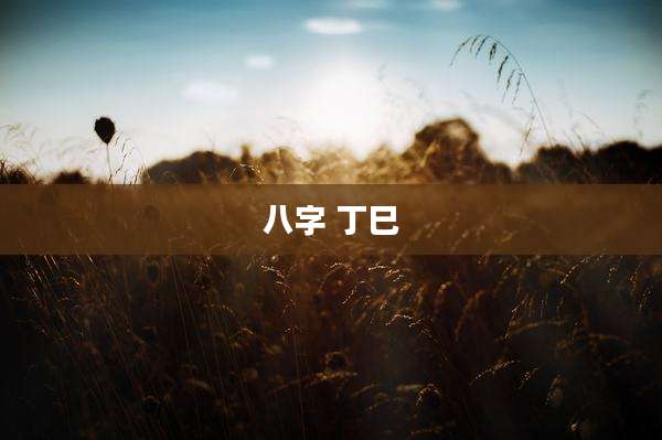 八字 丁巳