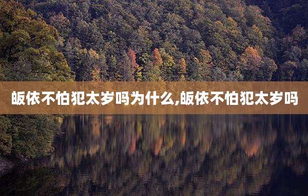 皈依不怕犯太岁吗为什么,皈依不怕犯太岁吗