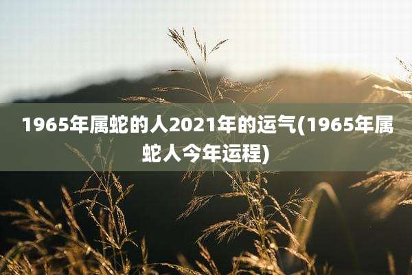 1965年属蛇的人2021年的运气(1965年属蛇人今年运程)