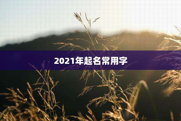 2021年起名常用字
