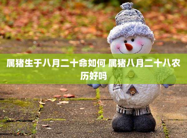 属猪生于八月二十命如何 属猪八月二十八农历好吗