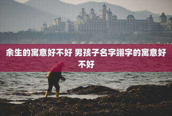 余生的寓意好不好 男孩子名字翊字的寓意好不好