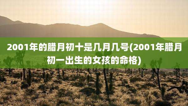 2001年的腊月初十是几月几号(2001年腊月初一出生的女孩的命格)