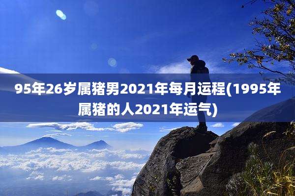 95年26岁属猪男2021年每月运程(1995年属猪的人2021年运气)