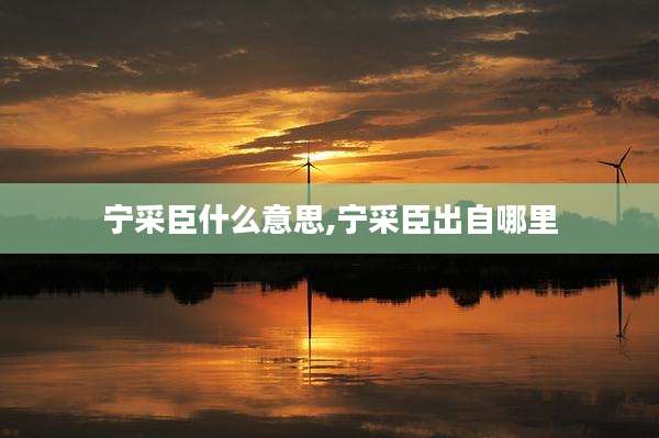 宁采臣什么意思,宁采臣出自哪里