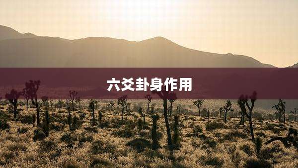 六爻卦身作用