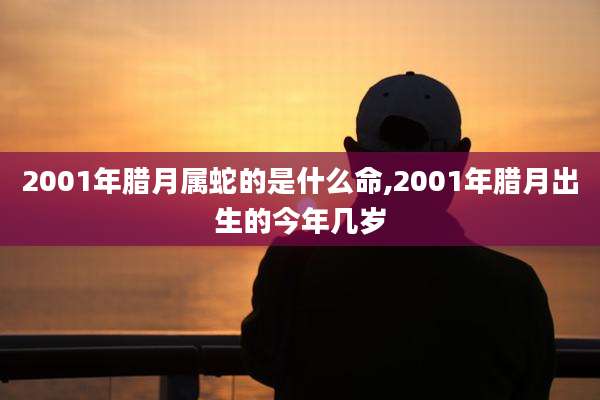 2001年腊月属蛇的是什么命,2001年腊月出生的今年几岁