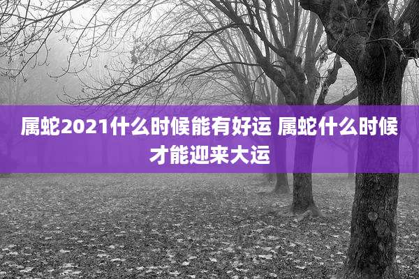 属蛇2021什么时候能有好运 属蛇什么时候才能迎来大运