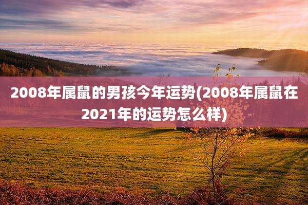 2008年属鼠的男孩今年运势(2008年属鼠在2021年的运势怎么样)