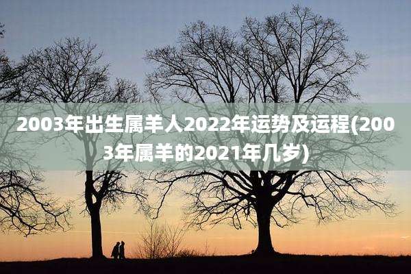 2003年出生属羊人2022年运势及运程(2003年属羊的2021年几岁)