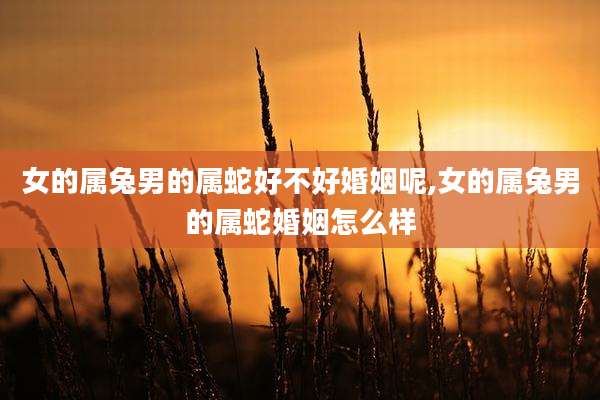 女的属兔男的属蛇好不好婚姻呢,女的属兔男的属蛇婚姻怎么样