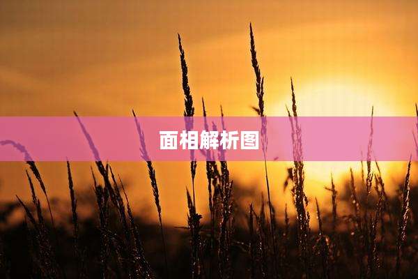 面相解析图