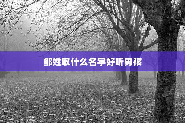 邹姓取什么名字好听男孩