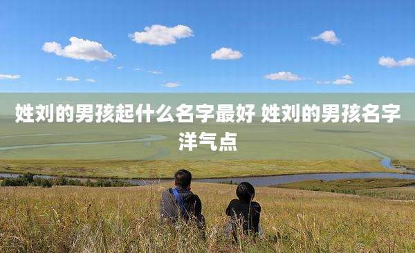 姓刘的男孩起什么名字最好 姓刘的男孩名字洋气点