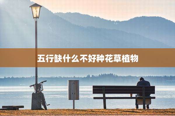 五行缺什么不好种花草植物