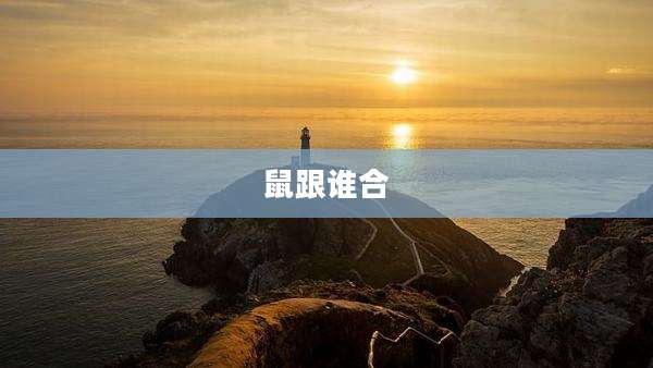 鼠跟谁合