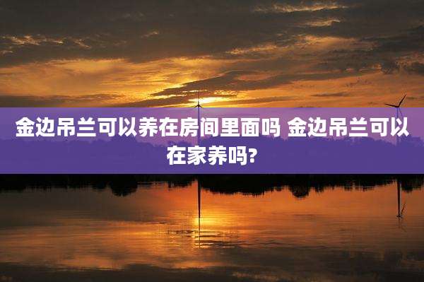 金边吊兰可以养在房间里面吗 金边吊兰可以在家养吗?