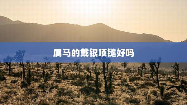 属马的戴银项链好吗