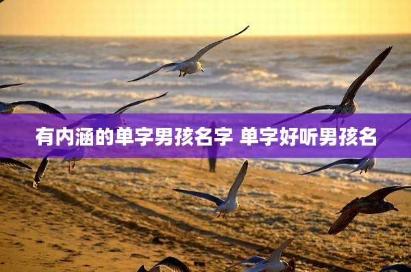 有内涵的单字男孩名字 单字好听男孩名