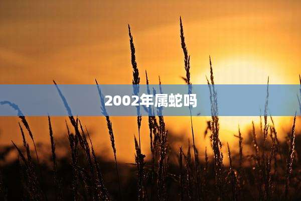 2002年属蛇吗