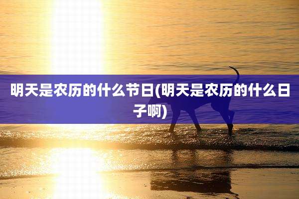 明天是农历的什么节日(明天是农历的什么日子啊)