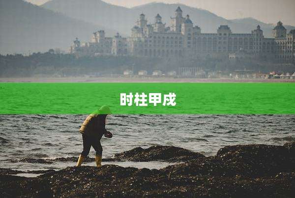 时柱甲戍