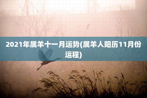 2021年属羊十一月运势(属羊人阳历11月份运程)