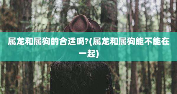 属龙和属狗的合适吗?(属龙和属狗能不能在一起)