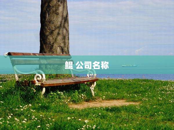 鲲 公司名称