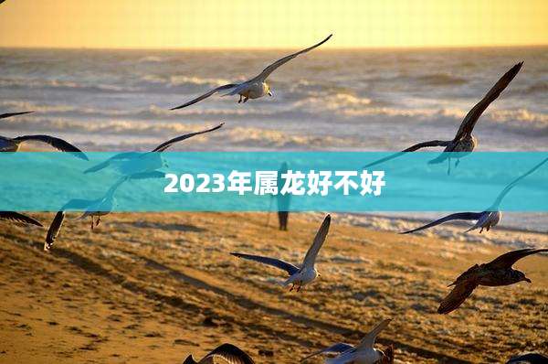2023年属龙好不好