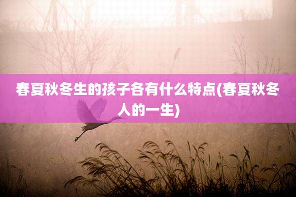 春夏秋冬生的孩子各有什么特点(春夏秋冬人的一生)