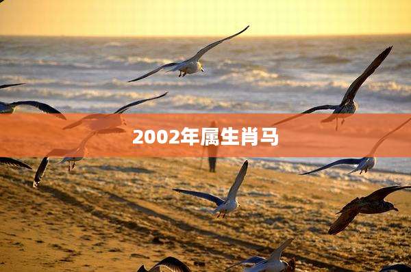 2002年属生肖马