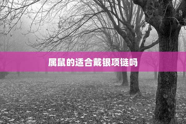 属鼠的适合戴银项链吗