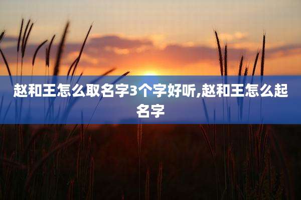 赵和王怎么取名字3个字好听,赵和王怎么起名字
