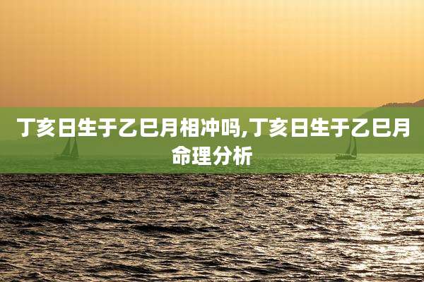 丁亥日生于乙巳月相冲吗,丁亥日生于乙巳月命理分析