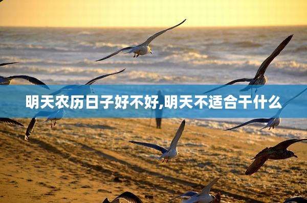 明天农历日子好不好,明天不适合干什么