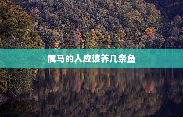 属马的人应该养几条鱼