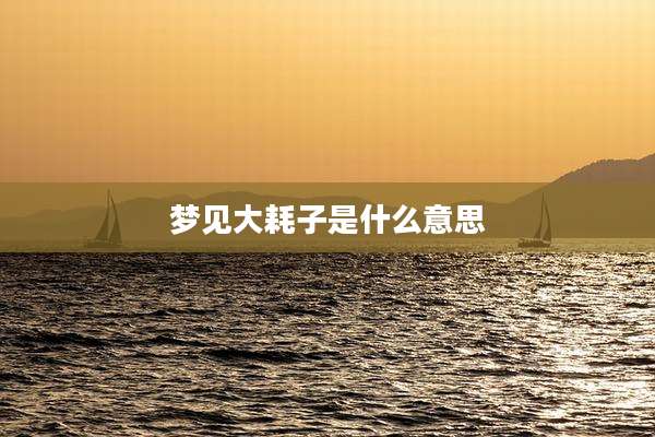 梦见大耗子是什么意思