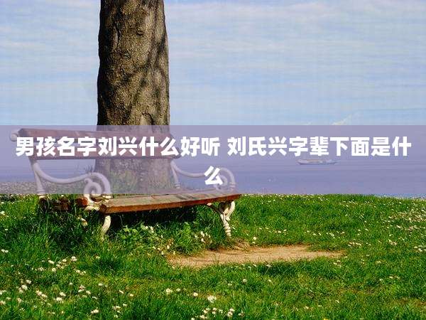 男孩名字刘兴什么好听 刘氏兴字辈下面是什么