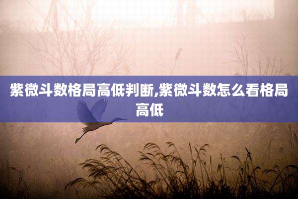 紫微斗数格局高低判断,紫微斗数怎么看格局高低